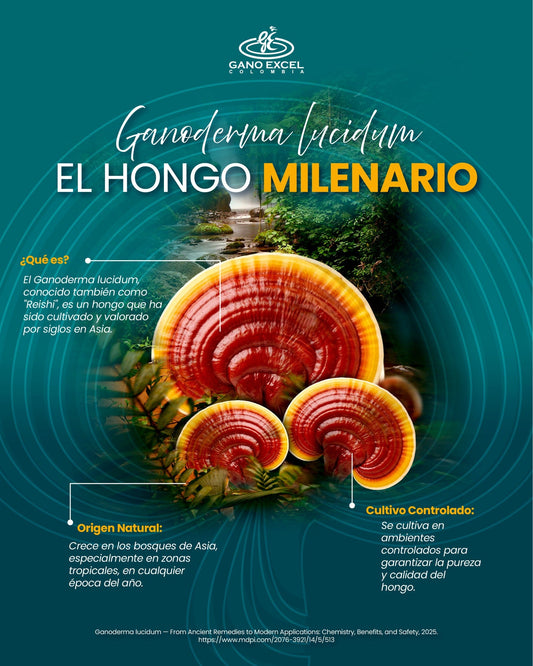 Generalidades del Ganoderma