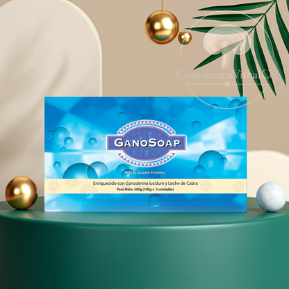 Gano SOAP - Gano Excel