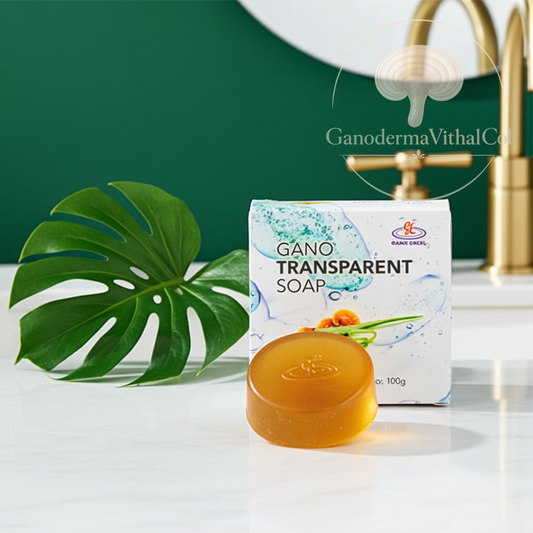 Gano Transparent SOAP